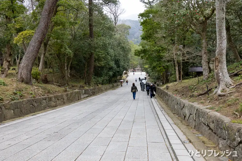 出雲大社　参道