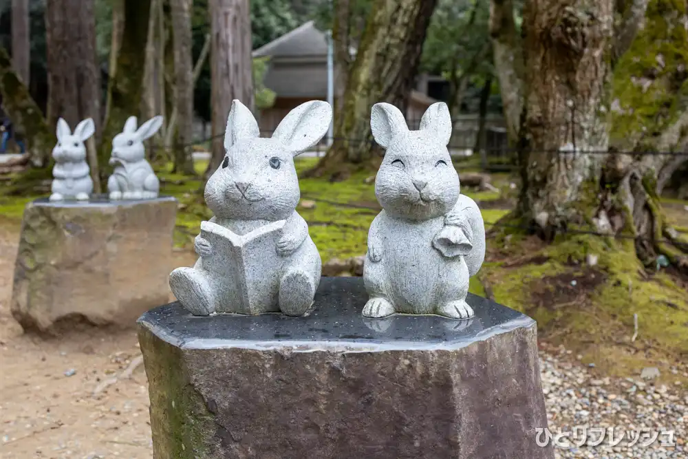 出雲大社　うさぎ