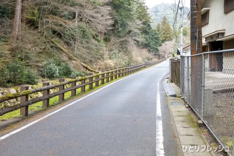 出雲大社　三歳社　参道