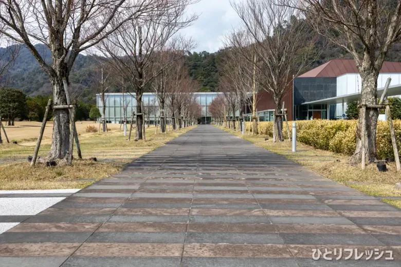 島根県立古代出雲歴史博物館